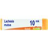 BOIRON Srl LACHESIS MUTUS XMK GLOBULI
