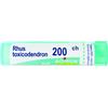 BOIRON Srl RHUS TOXICODENDRON 200CH GRANULI
