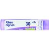 BOIRON Srl RIBES NIGRUM 30CH GRANULI