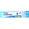 BOIRON Srl THUYA OCCIDENTALIS 9CH GRANULI