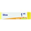 BOIRON Srl SILICEA MK GLOBULI