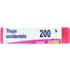 BOIRON Srl THUYA OCCIDENTALIS 200K GLOBULI