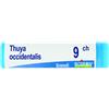 BOIRON Srl THUYA OCCIDENTALIS 9CH GLOBULI