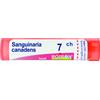 BOIRON Srl SANGUINARIA CANADENSIS 7CH GRANULI