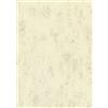 Brunnen - Carta universale multiuso, formato A4, grammatura: 160 g/m², colore: Camoscio con effetto marbré, 25 Pezzi