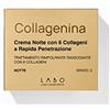 Collagenina Crema Notte Rimpolpante Rassodante con 6 Collageni (Crema Notte Grado 3)