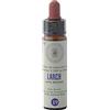 farmaflor Larch Nr. 19 Princeps Fiori di Bach Originali Gocce Larice