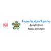 SANICO Srl Inverness® 802 Fiore Peridoto/Topazio