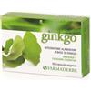 Farmaderbe Ginkgo Biloba Integratore Alimentare, 60 Capsule