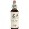 SCHWABE Bach Walnut 20 ml