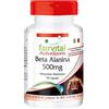 Fairvital | Beta Alanina 500mg - 90 capsule - aminoacido popolare - non è necessario mescolare la polvere - 100% vegano