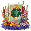 Nojaus Sėklos Flower Seed Collection Cottage Garden & Border Favorites, ispirato alla Horticultural Society, nonOGM, semi di qualità