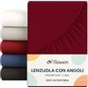 Flowen Lenzuola Matrimoniali con Angoli 200x200 cm Bordeaux in Microfibra per Letto Super King Size con Materasso fino a 30cm Tessuto Anti-Acaro e Ipoallergenico di Alta Qualità Lavabile in Lavatrice