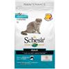 Amicafarmacia Schesir Mantenimento Croccantini Con Pesce Per Gatti Adulti Sacco 1,5kg