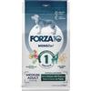 Amicafarmacia FORZA10 MEDIUM DIET CERVO/PATA