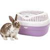 Ferplast Trasportino per conigli, porcellini d'india e ratti ALADINO LARGE Fessure di ventilazione, Comoda maniglia, Chiusura sicura, 36 x 26 x h 23 cm, Fucsia