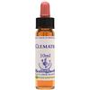 NATUR Srl CLEMATIS ESS 10ML INGL HERBS