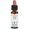 ERBA VITA GROUP SpA Erba Vita Cherry Plum Original 10 ml - Essenza Floreale di Bach