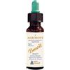 ALCHIMIA BENOIT Srl Alchimia Benoit, Fiori di Bach Agrimony, 10 ml