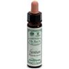 SANTIVERI Sa AINSWORTHS GENTIAN 10ML