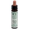 SANTIVERI Sa AINSWORTHS CHERRY PLUM 10ML
