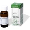 SARANDREA MARCO &C. Srl ALFA ALFA 60ML GTT