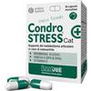 INNOVET ITALIA Condrostress 30 Compresse - Supporto per il Metabolismo Articolare dei Gatti