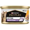 PURINA PRO PLAN Junior Gatto, Mousse con Pollo, 24 Lattine da 85 gr