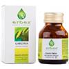 ERBEX SRL Garcinia 100 Capsule 430mg