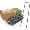 GardenGloss 25 Picchetti in Acciaio Robusto Non Galvanizzato - Per Telo di Pacciamatura, Recinzione e Rete - 150mm di Lunghezza, 25mm di Larghezza, Ø 2,7mm