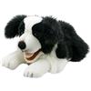 The Puppet Company - Playful Puppies - Border Collie, PC003007