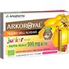 ARKOFARM Srl Pappa Reale Biologica 500 Mg 10 Unica Dose