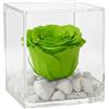 Premium-rose.com PREMIUM ROSE - Cubo Rosa Stabilizzata Verde 8 cm con Marmo di Carrara - Rosa Eterna Stabilizzata Made in Italy Idea per Auguri di Nuovi Inizi e Decorazioni - Verde A 1089