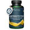 Vegavero Integratore Elettroliti Vegavero® | Magnesio, Potassio, Cloruro e Calcio | Integratori Sali Minerali Sport | con Aquamin™ e ConcenTrace® | No OGM | Vegan