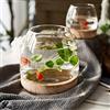 GisooM Mini ciotola per pesci da tavolo, piccola ciotola per pesci in vetro, vasetto idroponico per piante terrario ecologico acquario, vaso di fiori in vetro piante Betta, pesce rosso, D