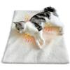 GingerUPer Tappetino Riscaldante, Cuscino per Gatti e Cani Interno, Cuccia per Gatti Coperta Autoriscaldante per Gatti e Cani, Adatto a Gatti Cani di Piccola e Media Taglia