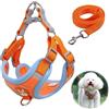 Cutiolly Pettorina con Guinzaglio, Imbottito con Morbida Imbracatura Riflettente Regolabile,Pettorina per Cane Piccola Media Taglia e Gatti,XS
