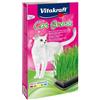 Vitakraft Cat Grass, Miscela di Semi Erba gatta, con vitamine e minerali (1x 120g)