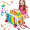 Sundaymot Giochi Montessori 3 Anni, Gioco per Bambini 4 in 1 con Xilofono, Pesca, Whack-a-Mole, Regalo Bambino 3 4 5 6 Anni per Natale, Festa dei Bambini, Compleanno