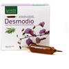 NATURA SERVICE SRL DESMODIO ROSMARINO 15 AMPOLLE DA 15 ML