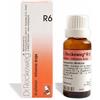 DR. RECKEWEG DR.RECKEWEG R6 GOCCE DA 22ML