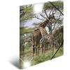 HERMA Cartellina elastica con motivo giraffa, formato A3, in plastica lucida, con stampa interna, 1 cartellina