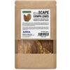 ARKA Foglie di mandorlo indiano per acquario - ARKA mySCAPE-CATAPPA 10 pezzi (12-16 cm) - cura naturale dell'acqua dolce - rafforza pesci & gamberetti - abbassa pH - stimola la riproduzione