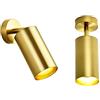 Hobaca GU10 Faretto LED Moderno oro Faretto da Incasso a Soffitto Plafoniera per Bagno Camera da Letto Specchio Applique da Parete Illuminazione Lettura Immagine Luce Soggiorno Display Focus Luce