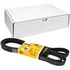 CONTITECH 6PK2155 Cinghia Ausiliaria