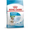 Royal Canin dog mini starter mother e babydog 1 kg