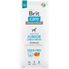 Brit Care Junior Large Grain Free Salmone e Patate - 3 Kg