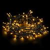 EMOS Catena luminosa LED Classic con timer | Luci di natale lunghezza di 10 m, 100 LED, 230 V con spina | Illuminazione d'atmosfera per interni ed esterni, Impermeabile IP44 | Colore: bianco caldo