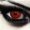 DESIGNLENSES, Lenti a contatto colorate rosse per costume di Halloween da zombie, senza gradazione, 1 paio (2 pezzi), lentes colore completamente rosso + custodia per lenti Red Monster