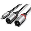 Audibax Pro Cavo 2 XLR Maschio a Minijack - Lunghezza 3 Metri - Connettori OFC ad Alta Trasmissione del Segnale - Rivestito in PVC - Massimo Isolamento - Diametro 6 mm - Colore Nero